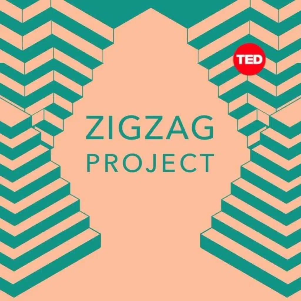 Bonus Episode: ZigZag - The Pulse