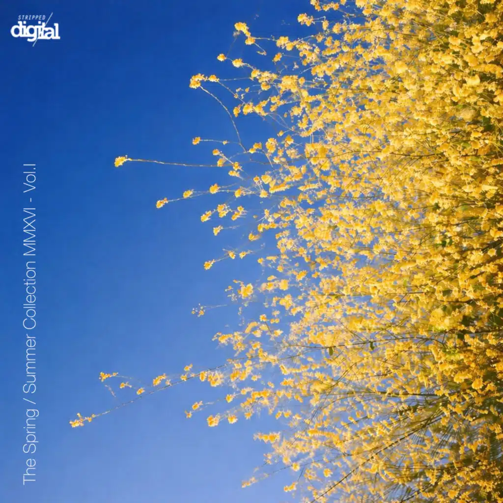 These Lines Seem Blurry