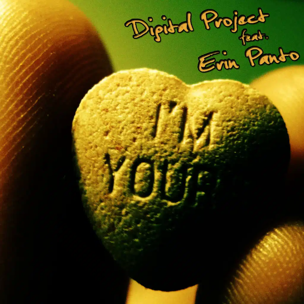 Digital Project feat. Erin Panto
