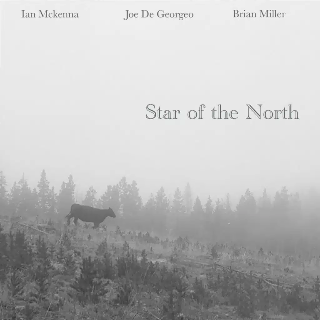 Star of the North