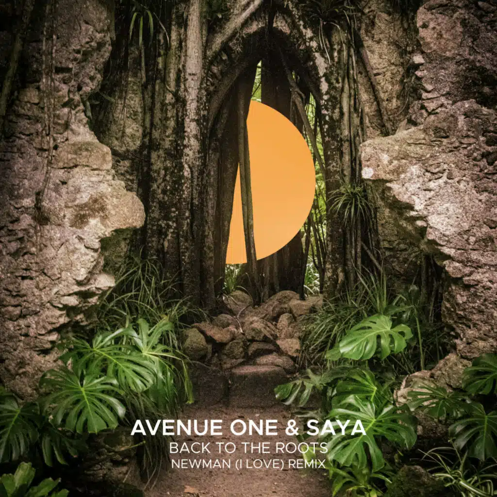 Back To The Roots (Newman (I Love) Remix)