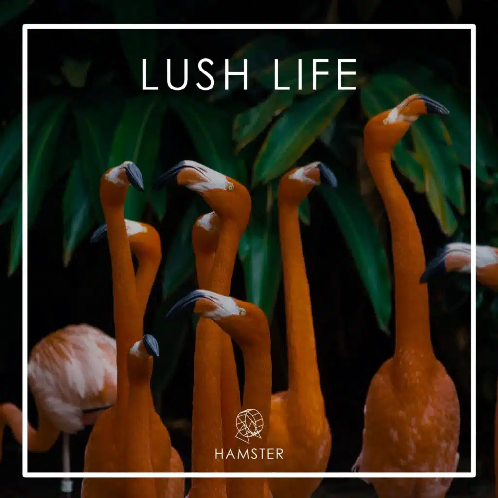 Part of My Plan (feat. Serena Foster)