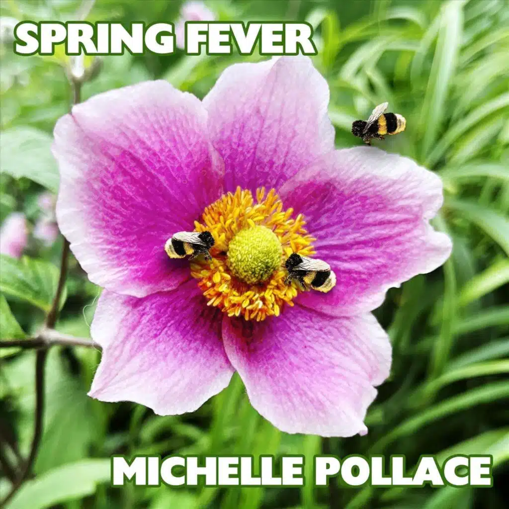 Michelle Pollace