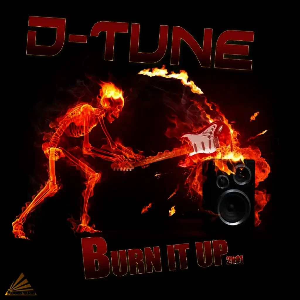 Burn It Up 2K11 (D-Tune vs. EMD Boyz Radio Edit)