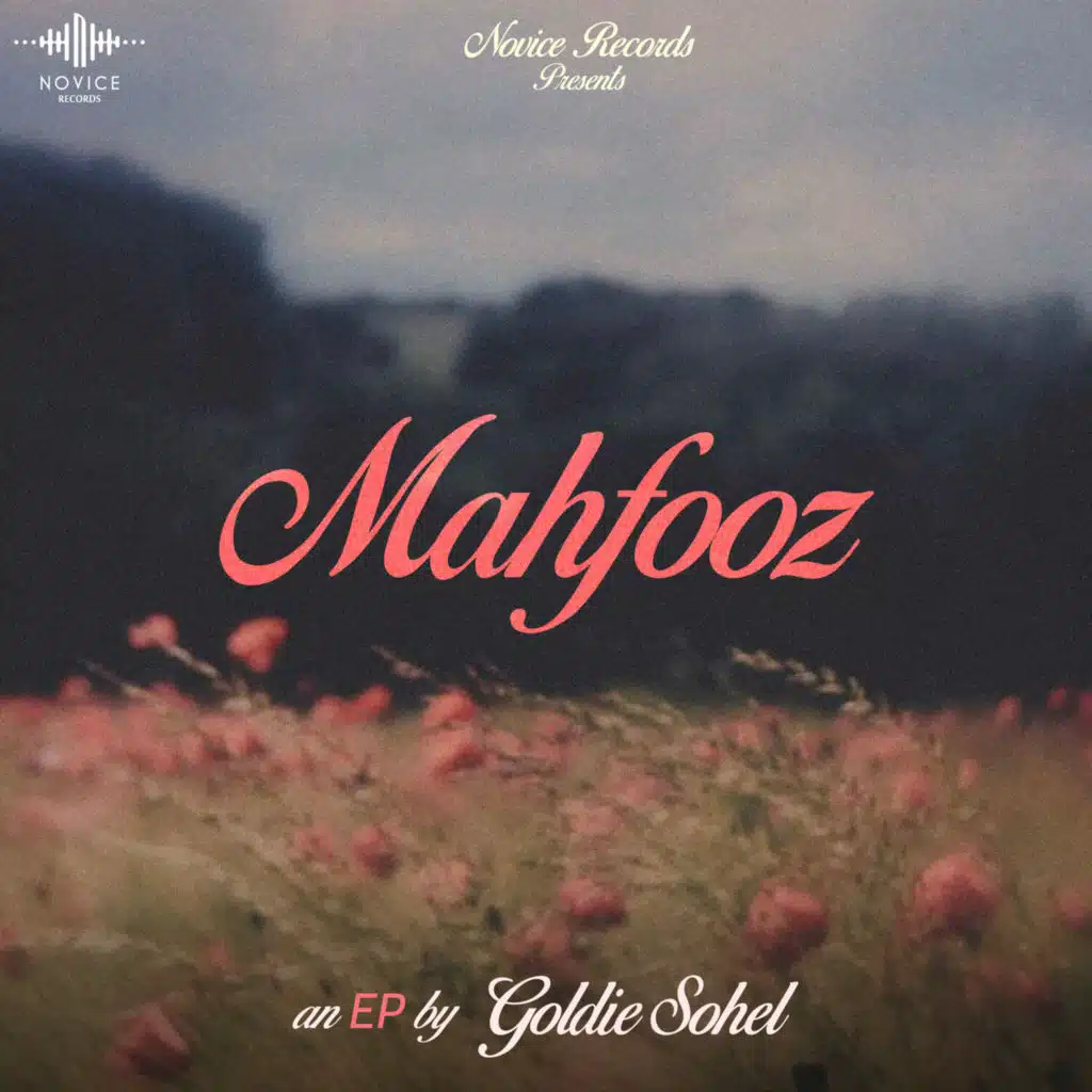Goldie Sohel