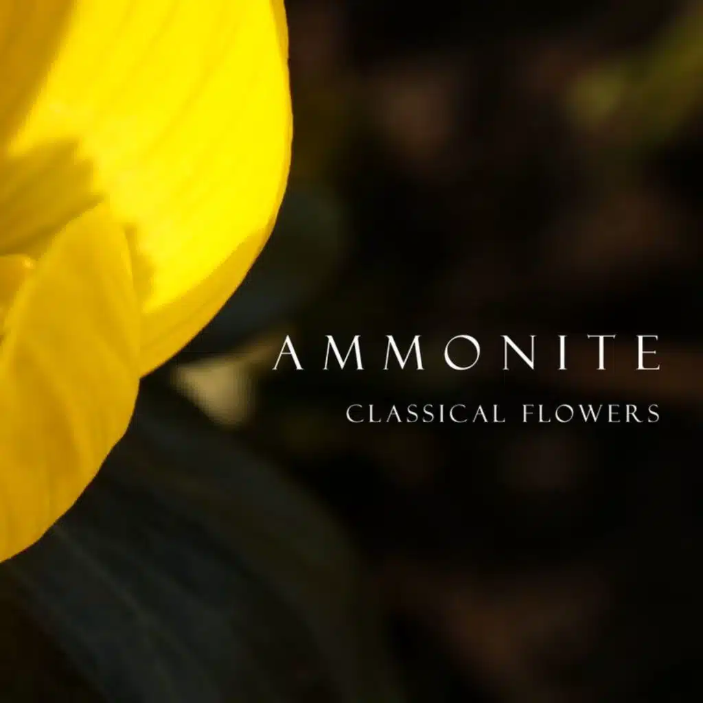 "Ammonite": Classical Flowers