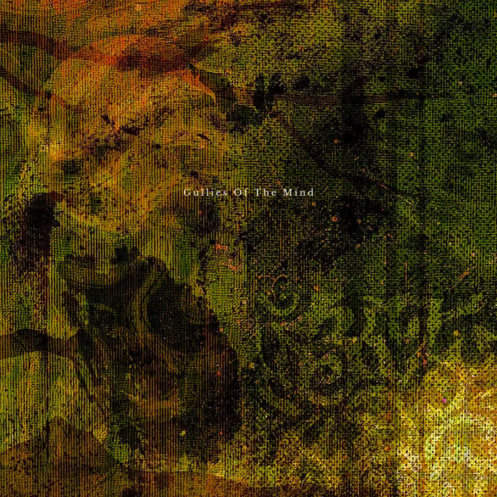 Gullies of the Mind