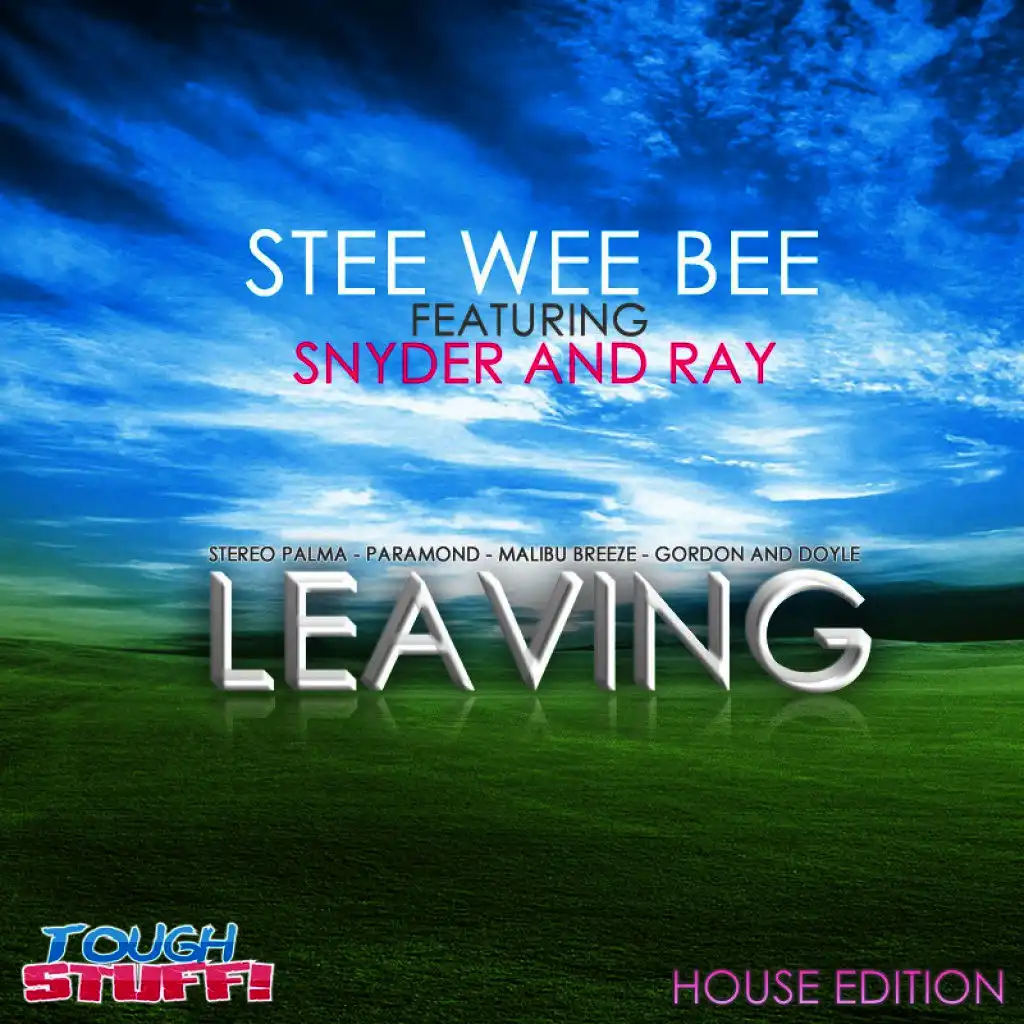 Leaving (Paramond Radio Edit)