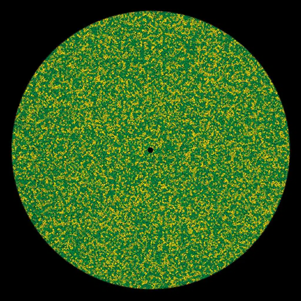 But The More We Talk, The Less Words Mean