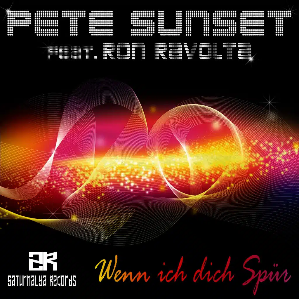 Wenn Ich Dich Spür (Dansynergy Remix)