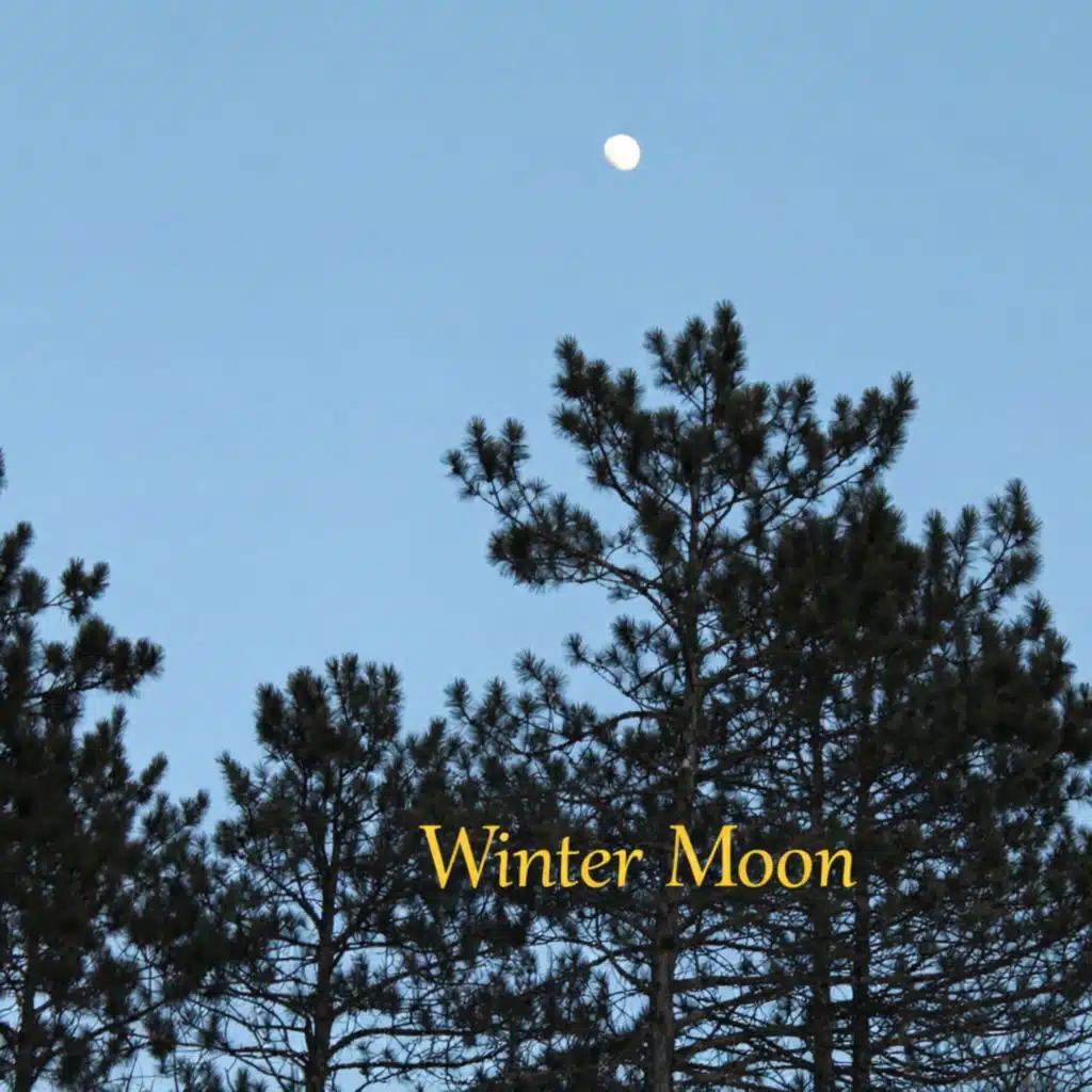 Winter Moon