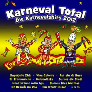 Karneval Total (Die Karnevalshits 2012)