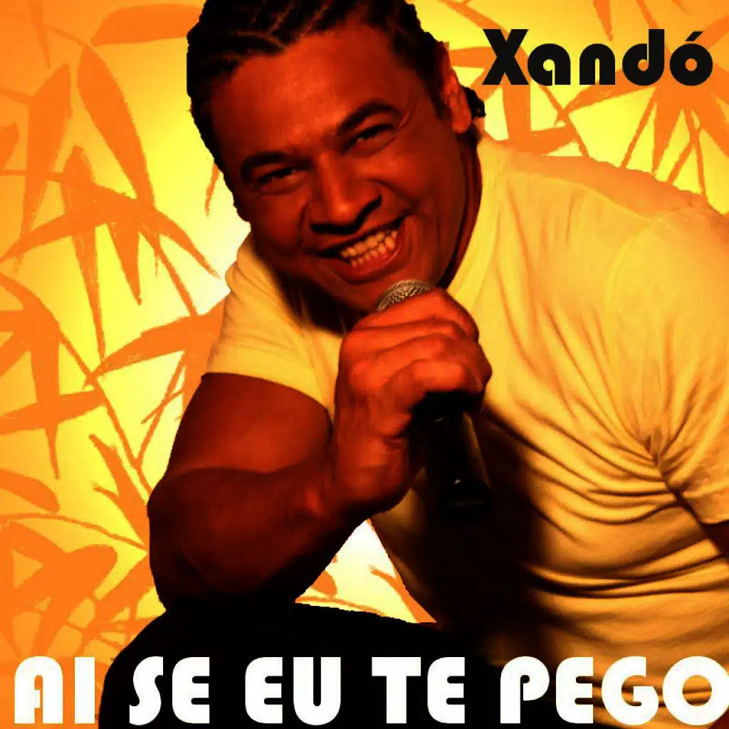 Ai Se Eu Te Pego (Instrumental)