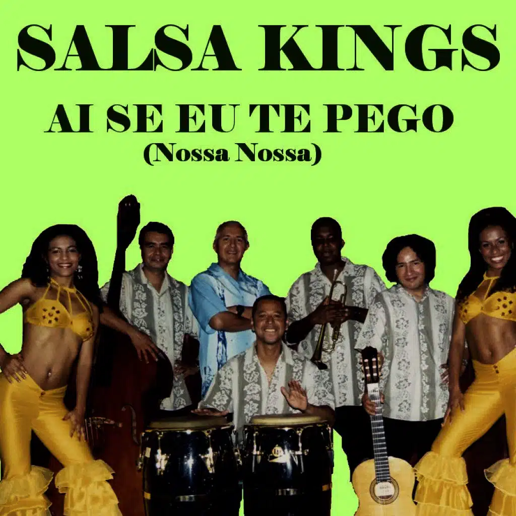 Ai Se Eu Te Pego (Nossa Nossa)