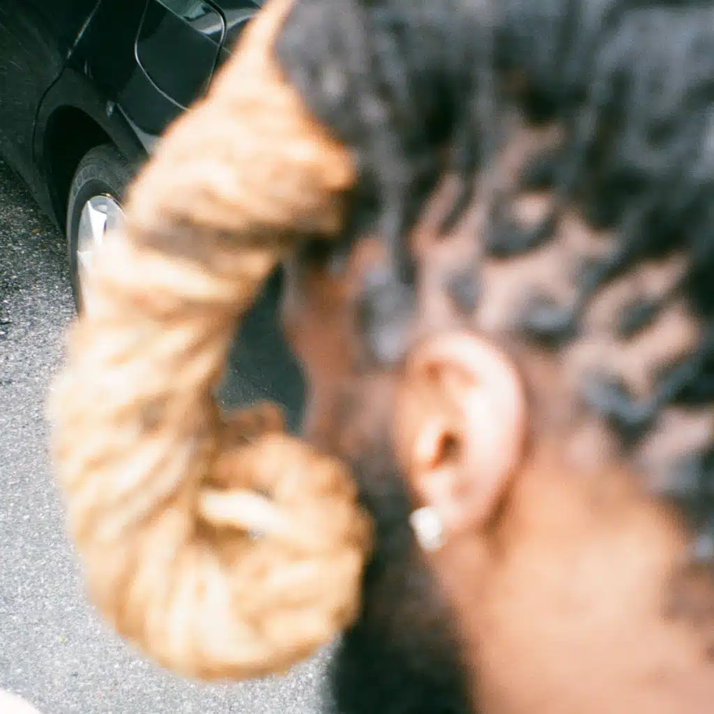 Bill $aber