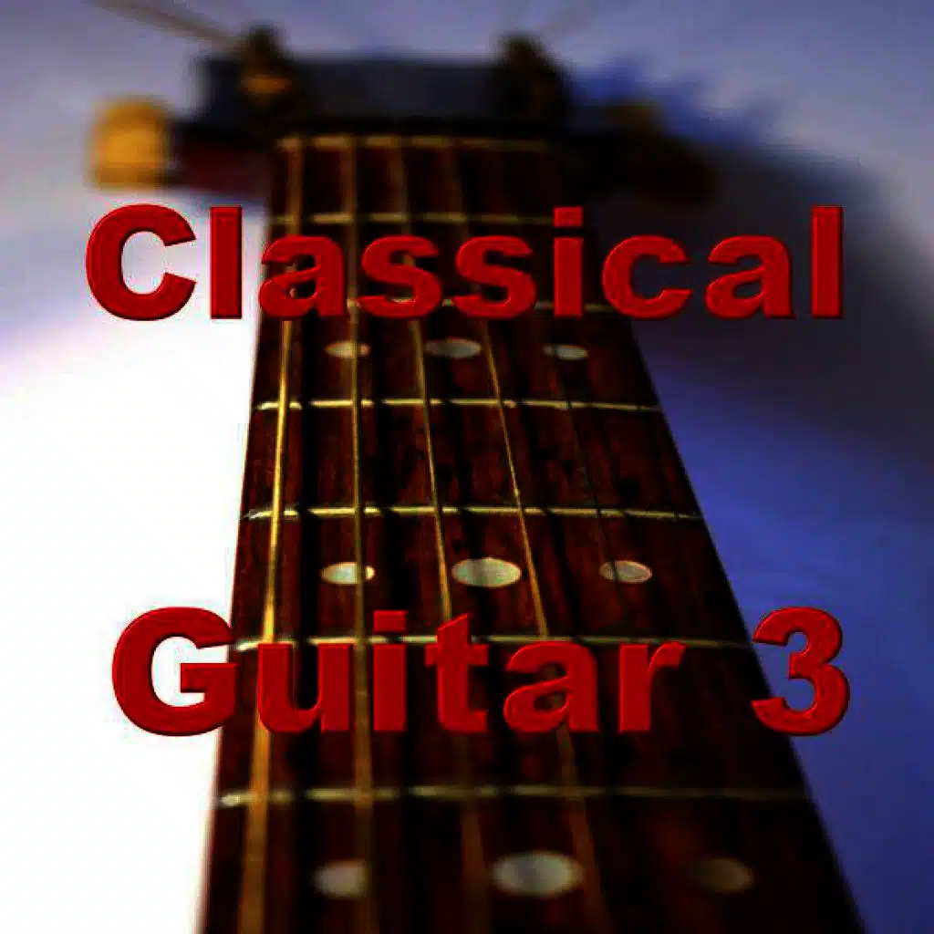 Guitar 3