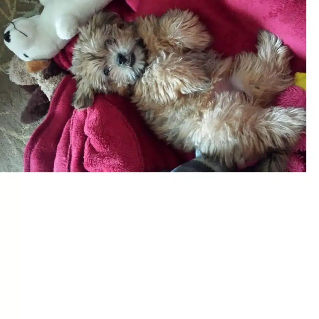 Will You Just Kiss Me