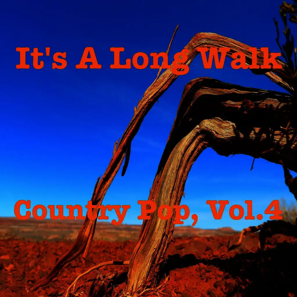 It's a Long Walk - Country Pop, Vol. 4