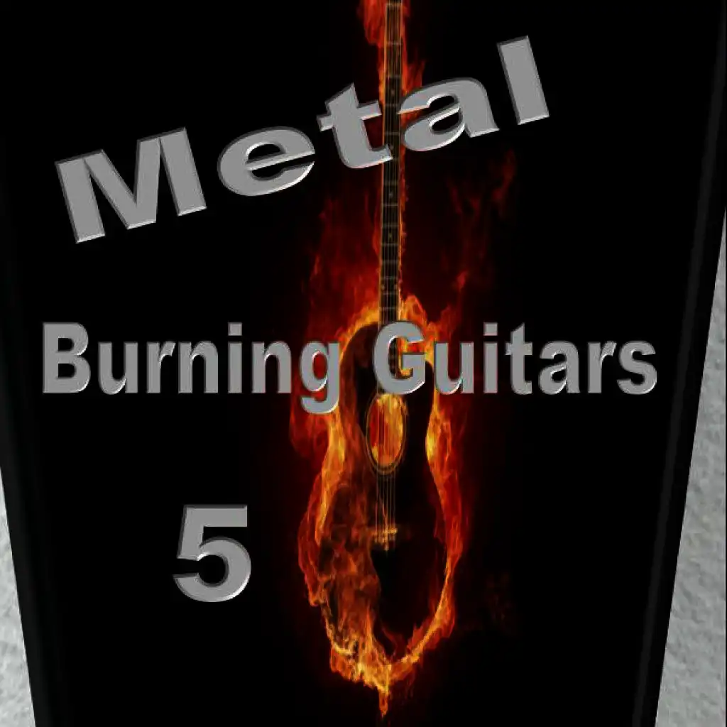 Burning Guitars 5