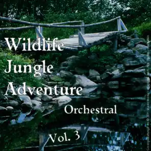 Wildlife / Jungle / Adventure; Orchestral - Vol. 3