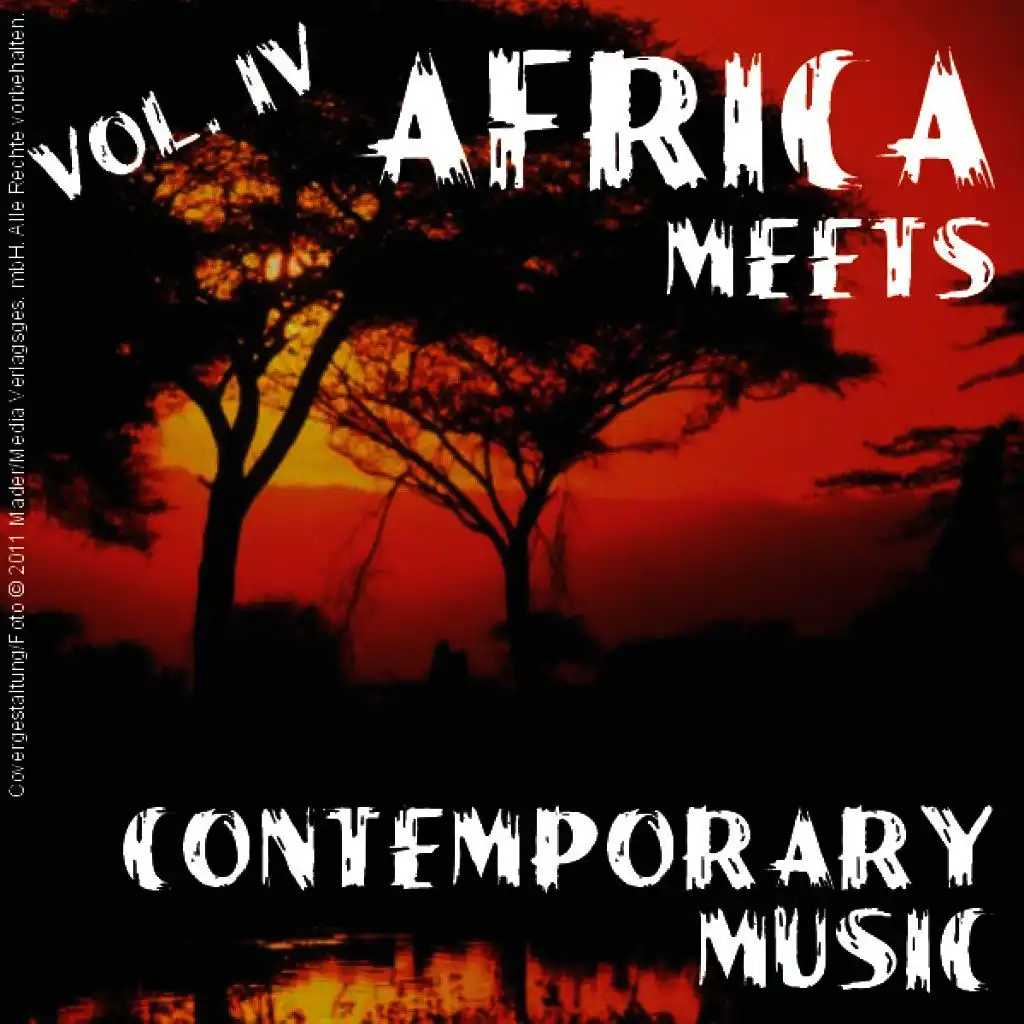 Africa Meets Contemporary - Vol. 4