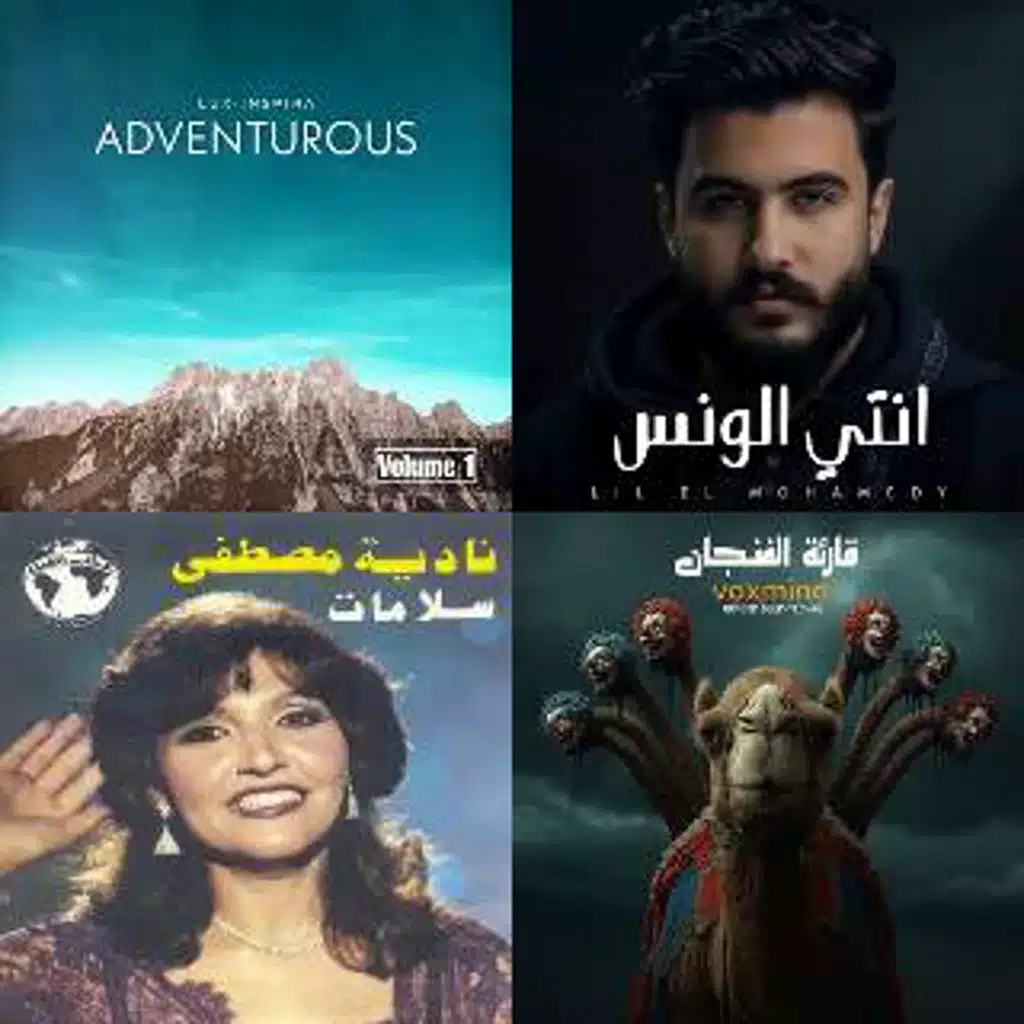 TikTok Songs [Imported]