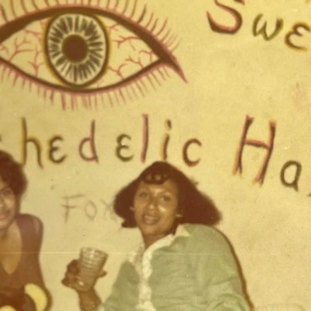 All Are Welcome In: A Return to Maraqopa