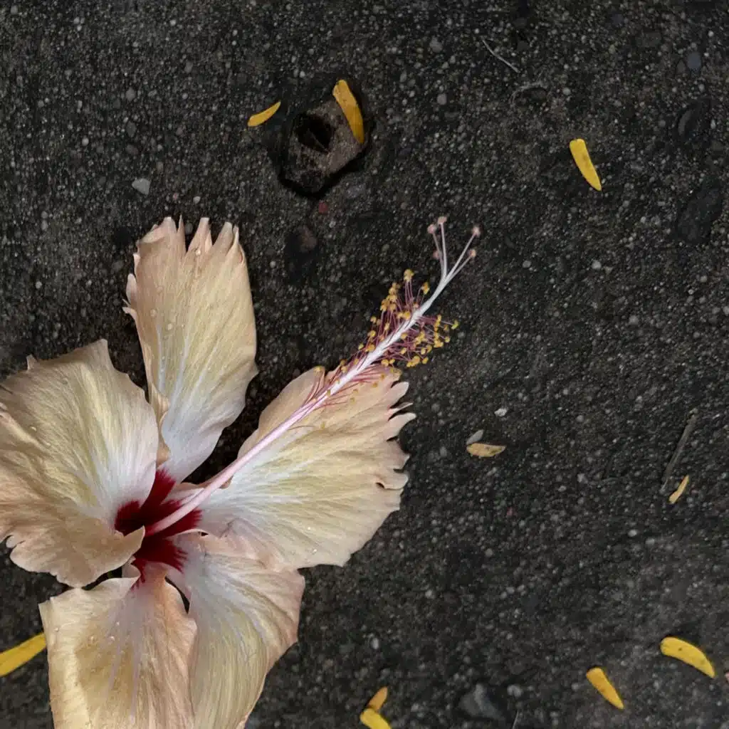 Mixtape, Vol. 2 (feat. 0-021)