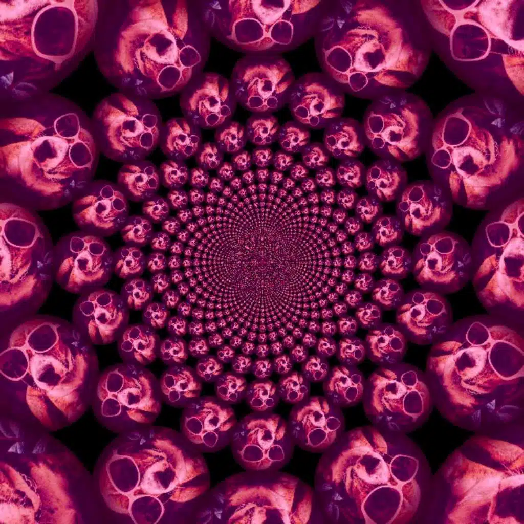 This Must Be the Place (Naive Melody)