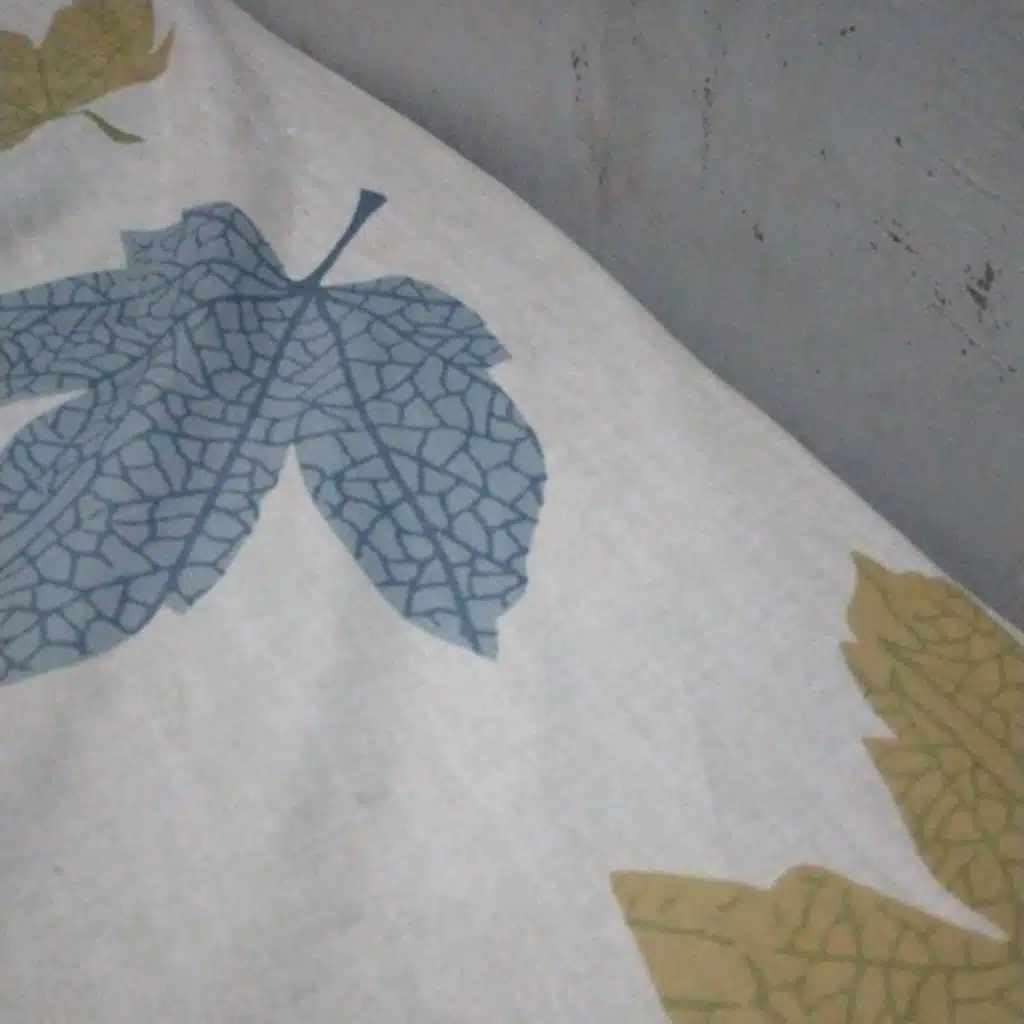 Iin