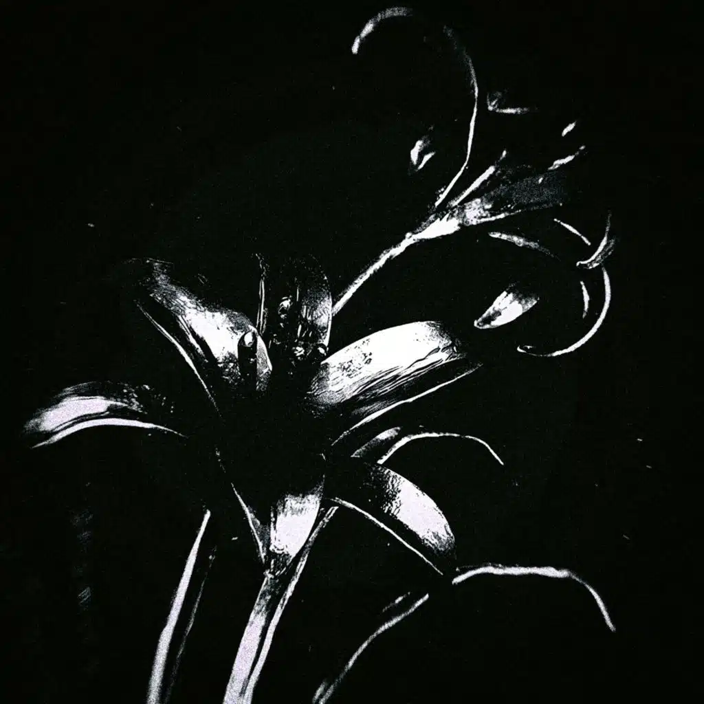 hex (ultra slowed) [feat. snxff]