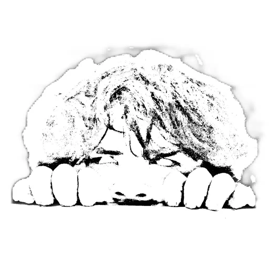 my inspiration is dead