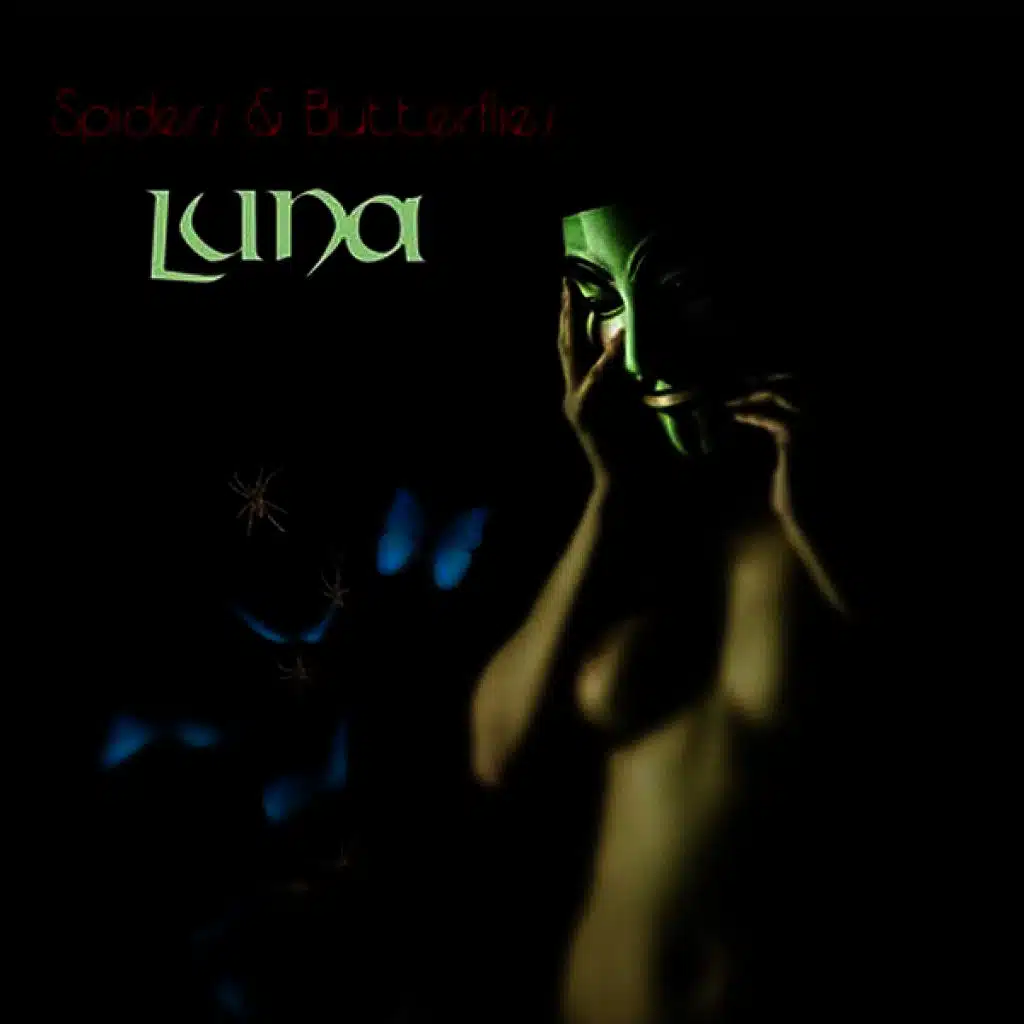 Spiders & Butterflies