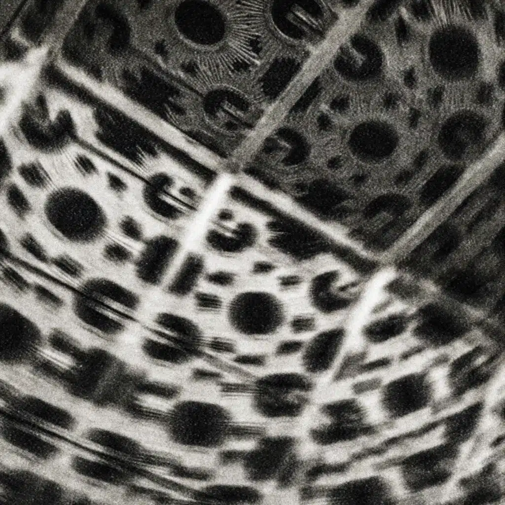 XTC