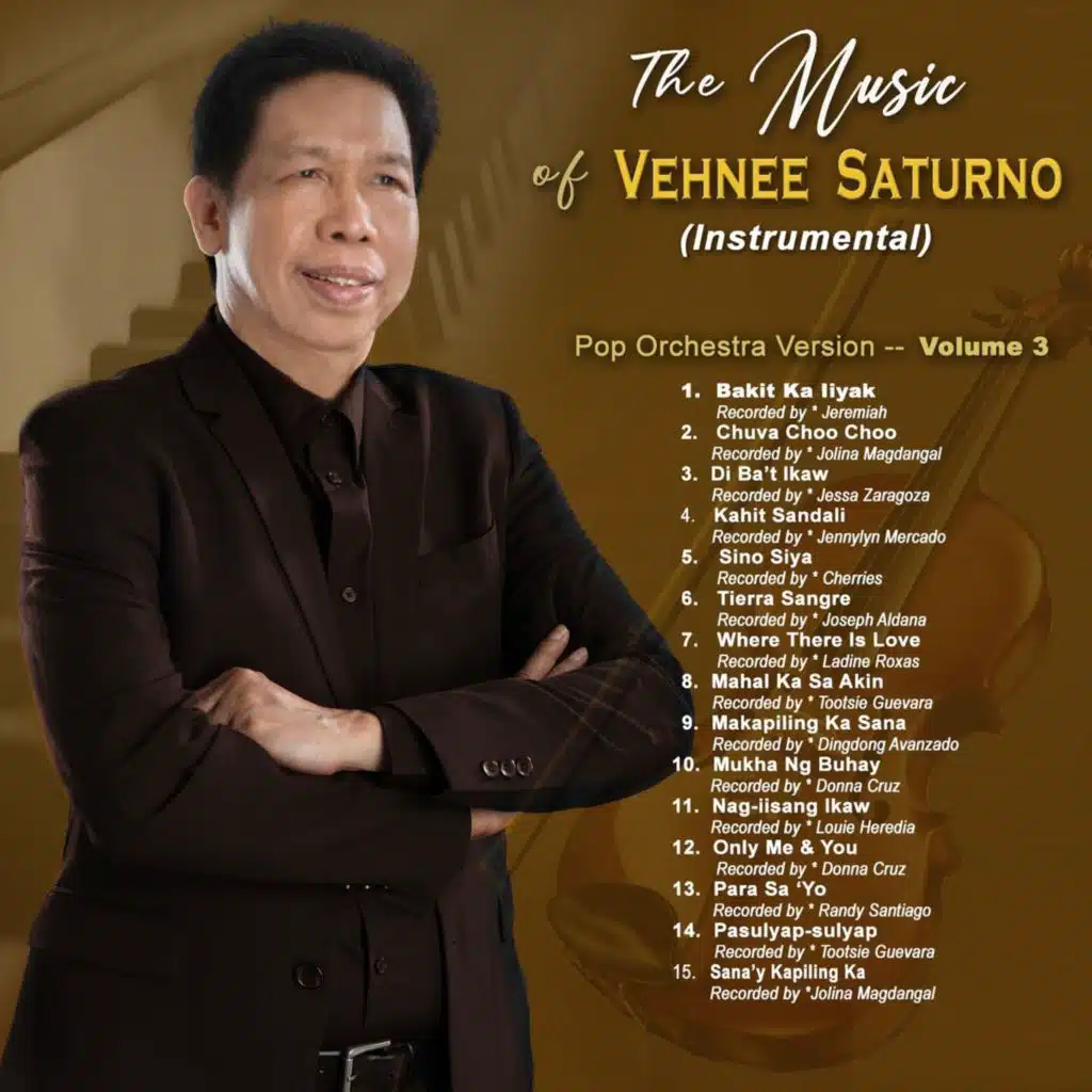 The Music of Vehnee Saturno - Pop Orchestra (Instrumental} Volume 3