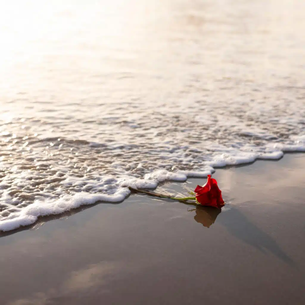 Without Love, There Is Nothing!