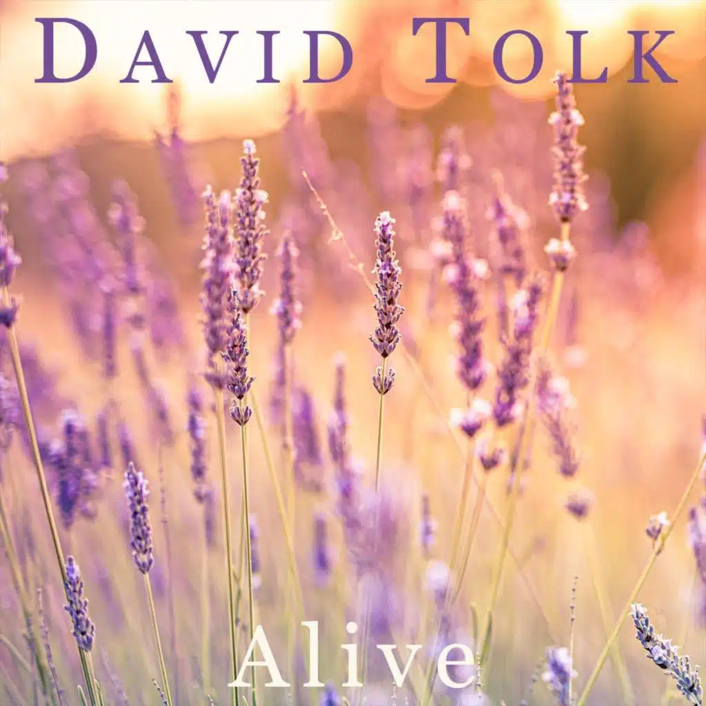 David Tolk