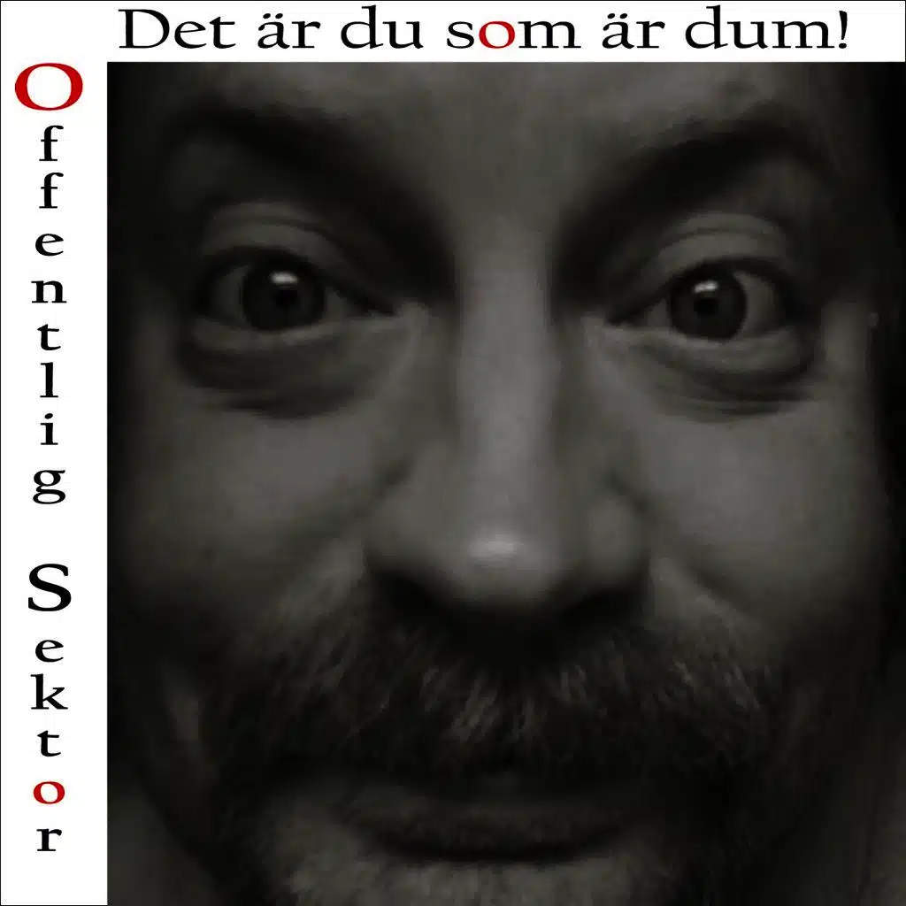 Det Är Du Som Är Dum