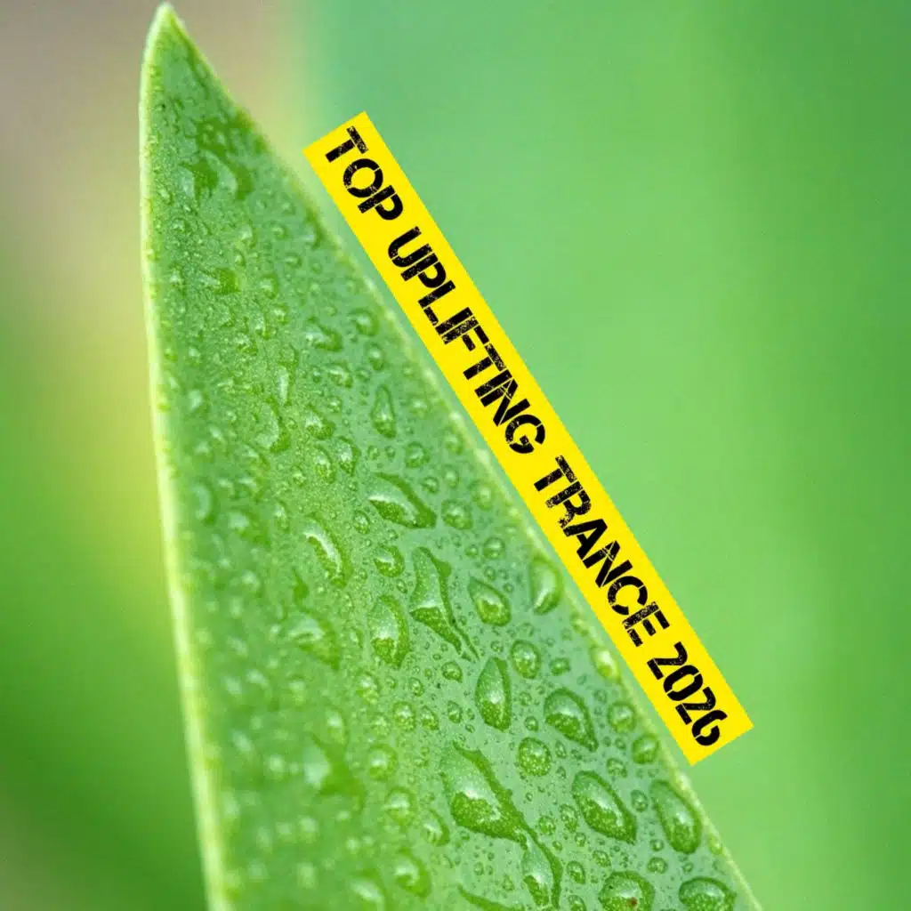Top Uplifting Trance 2026