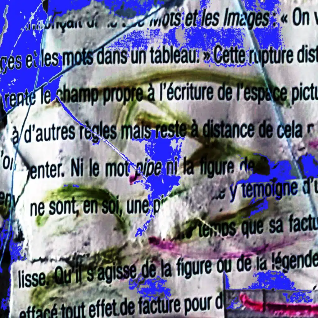 Car Crash Bird Funeral