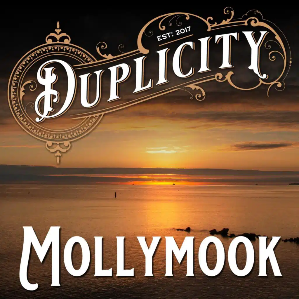Duplicity