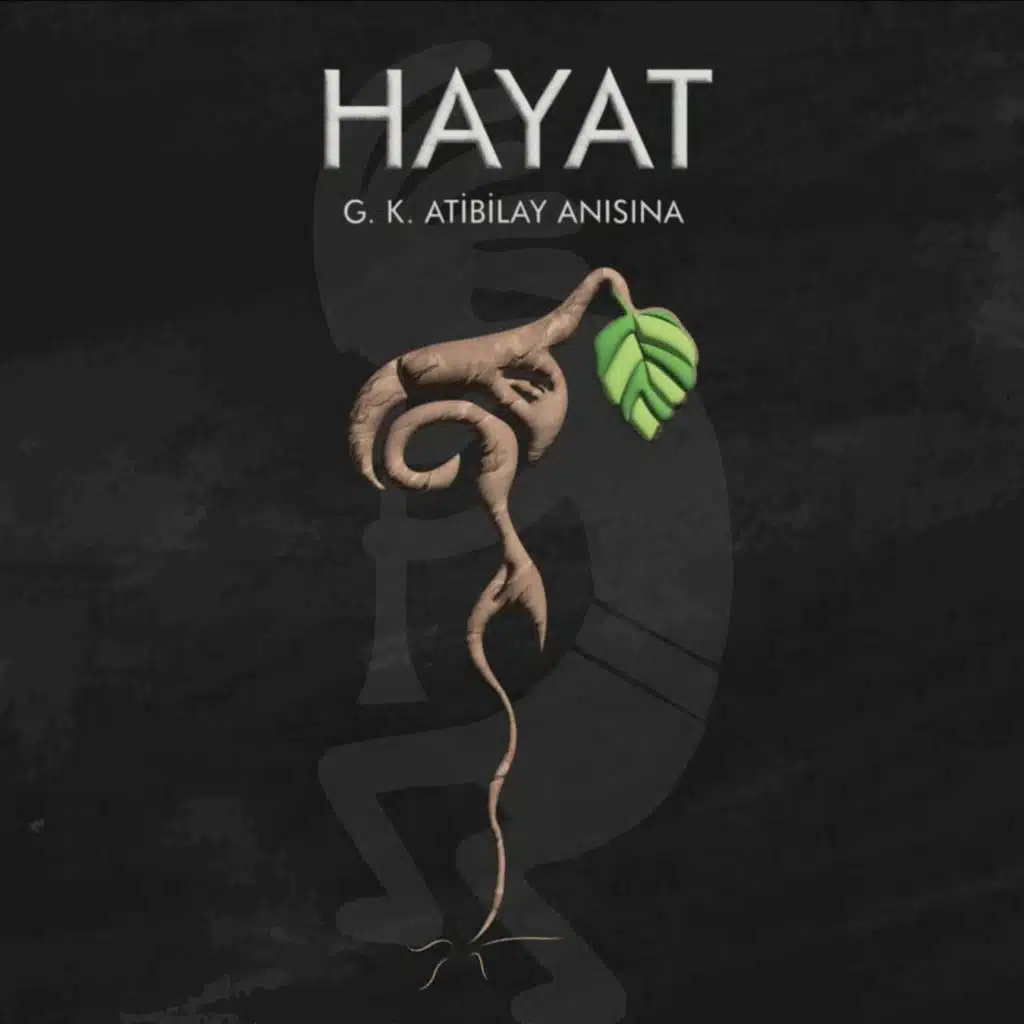 HAYAT