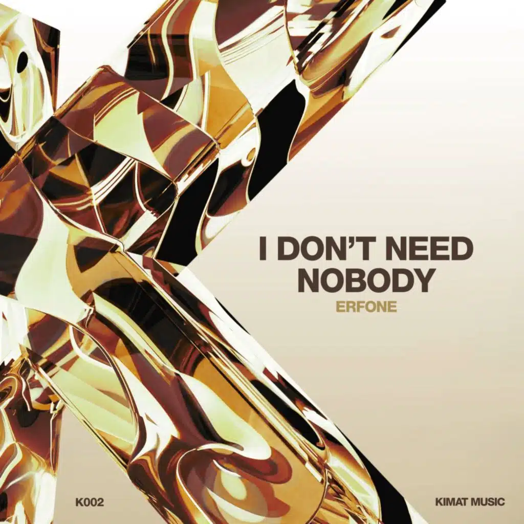 I Don't Need Nobody