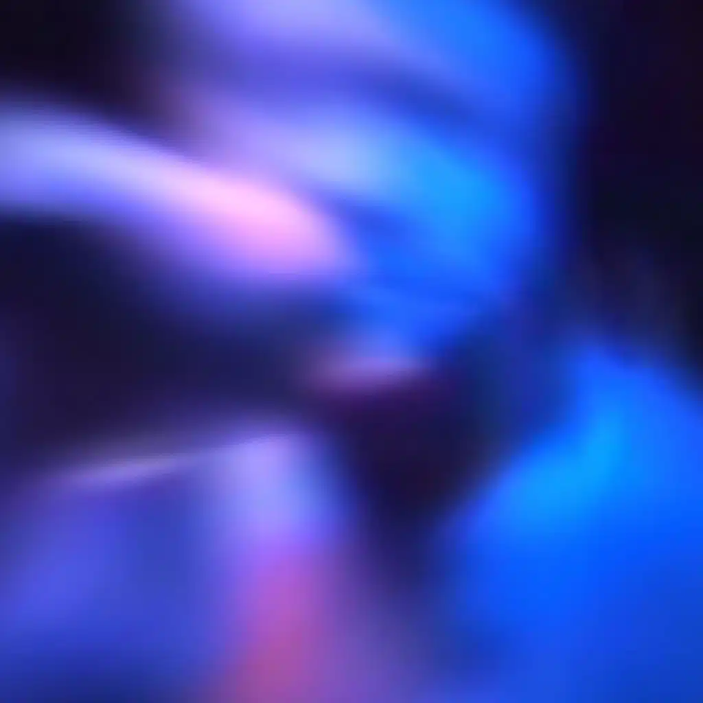 Nelson Freestyle