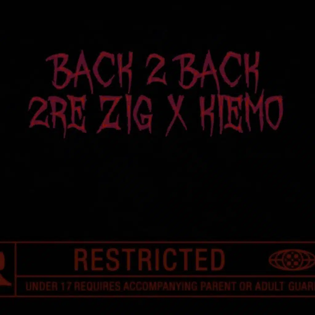 2RE ZiG