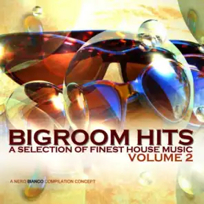 Bigroom Hits, Vol. 2