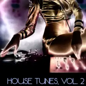 House Tunes, Vol. 2 (DJ Selection)
