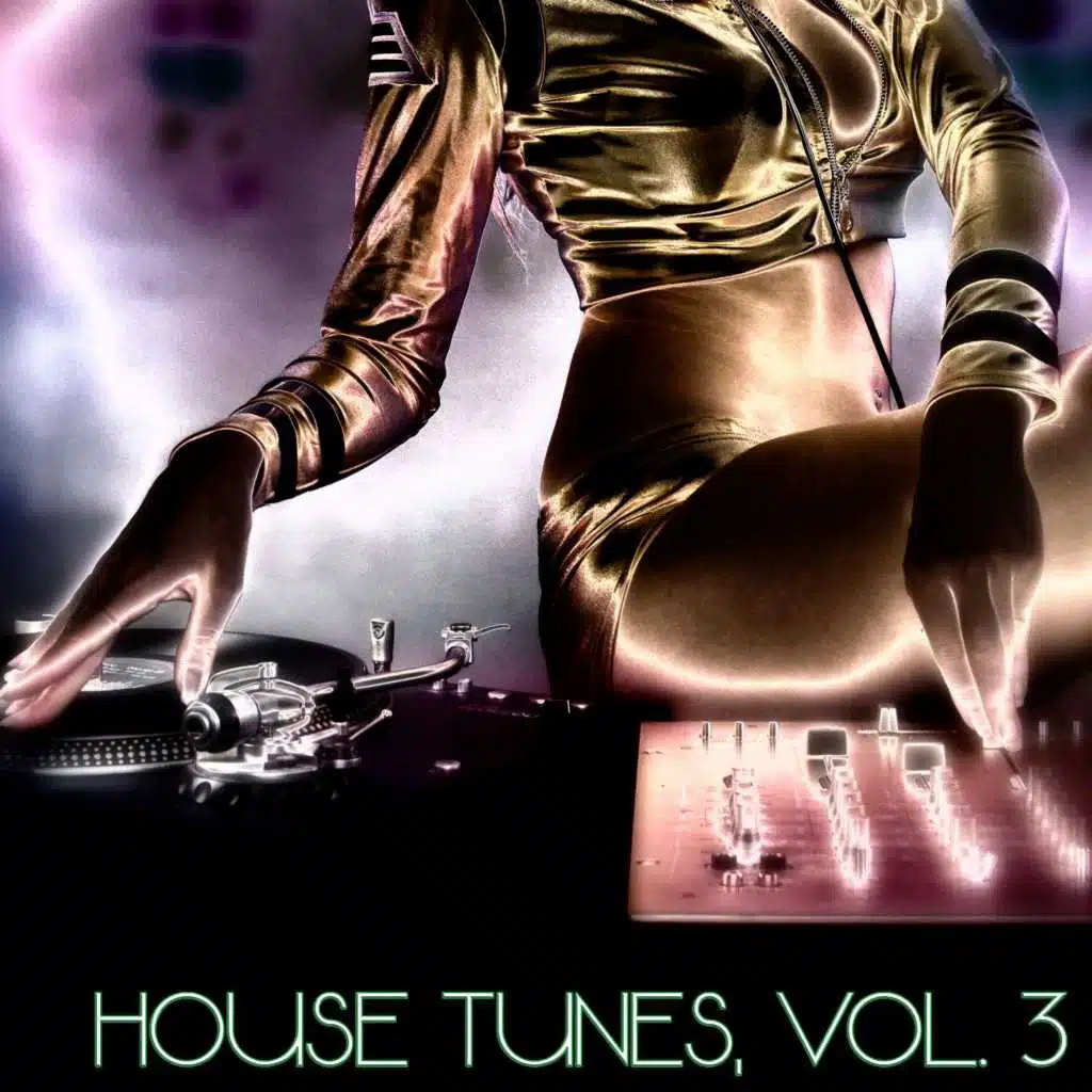 House Tunes, Vol. 3 (DJ Selection)