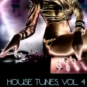 House Tunes, Vol. 4 (DJ Selection)