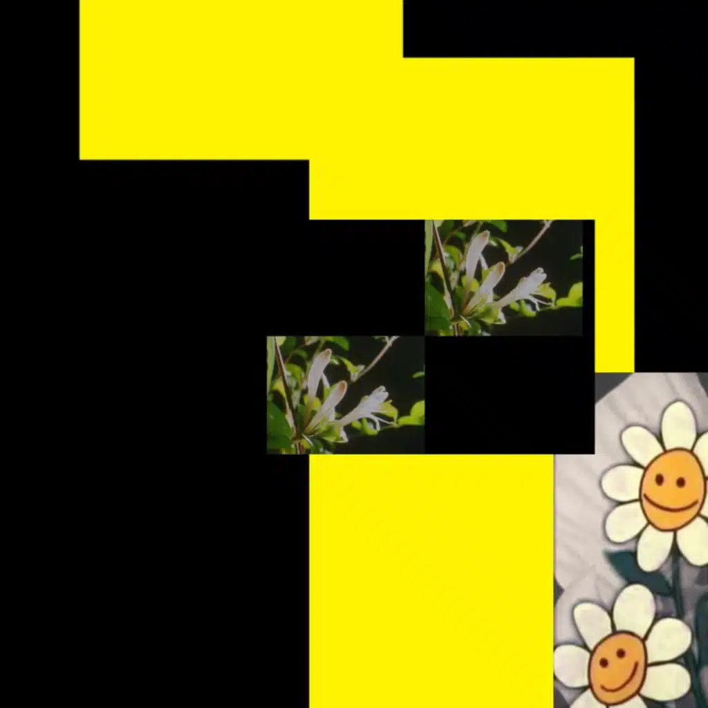 Turn Into Flowers Again